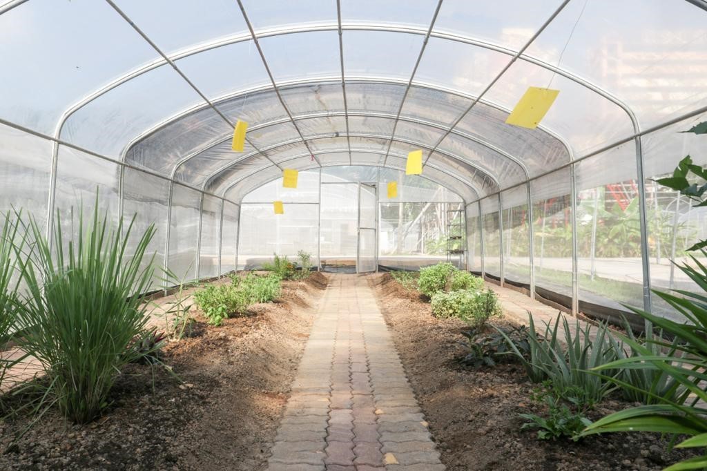 An urban farm